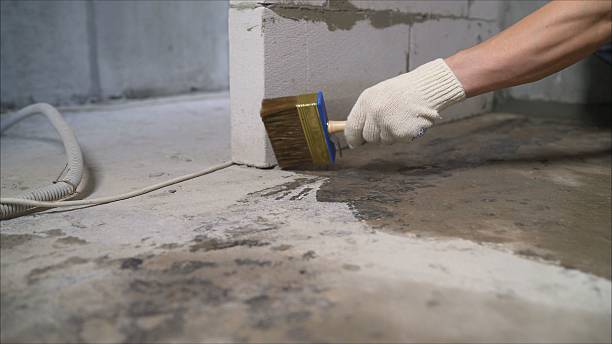 SJ Waterproofing Pros Waterproofing coverage map for Lewisburg, KY and surrounding area